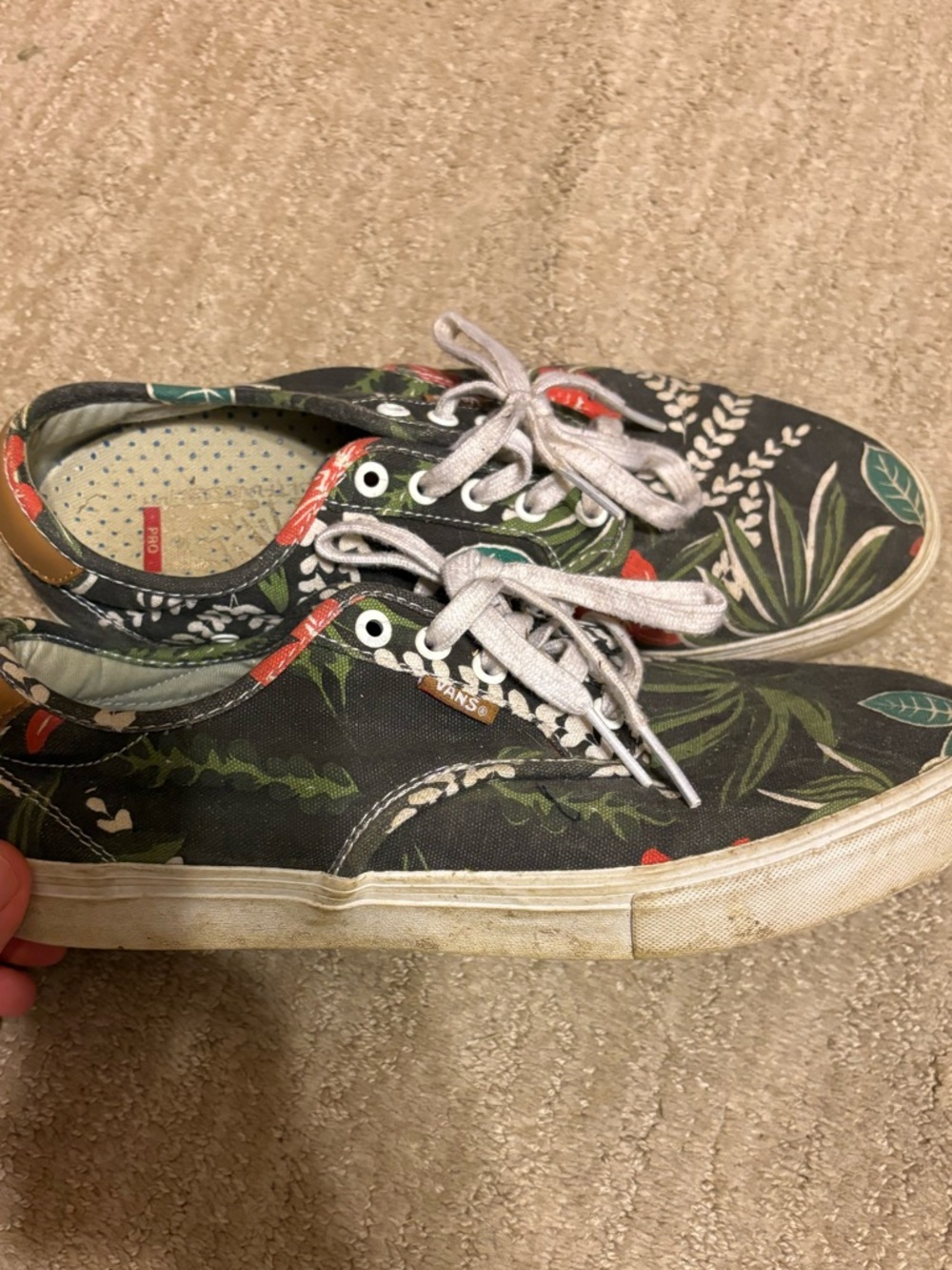 Vans skate shoe